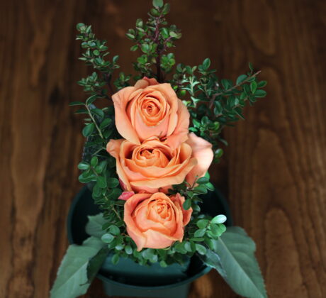 yellow, peach, orange rose arrangement that follow the American Rose Society guidelines for a straight-line design.